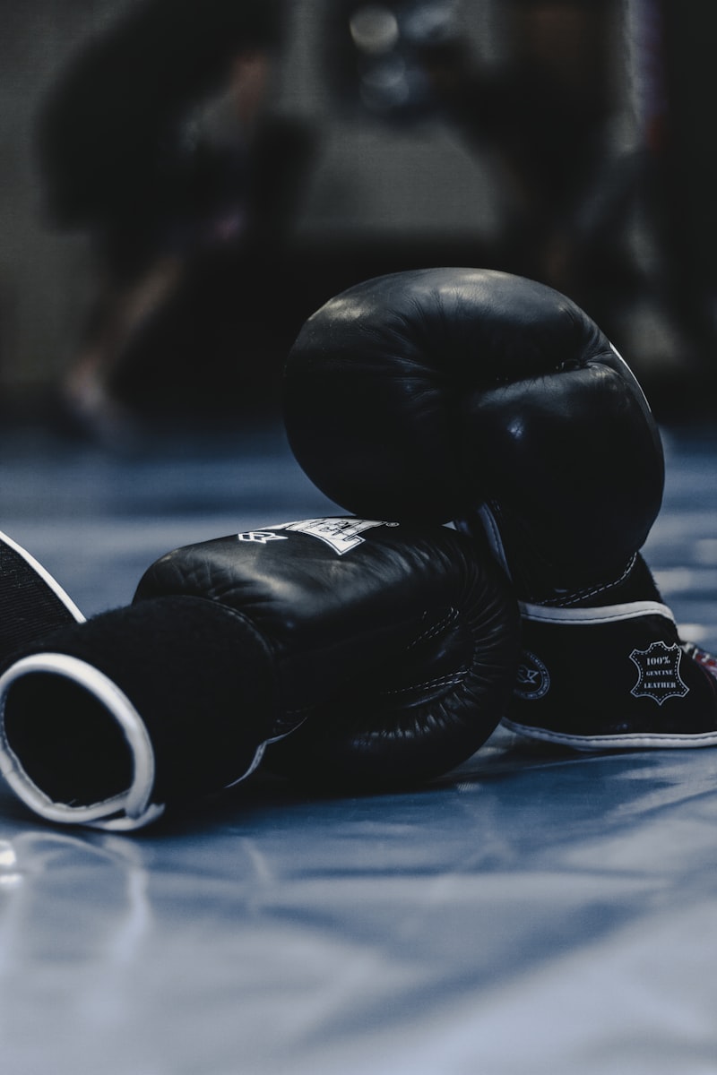 Boxing & MMA